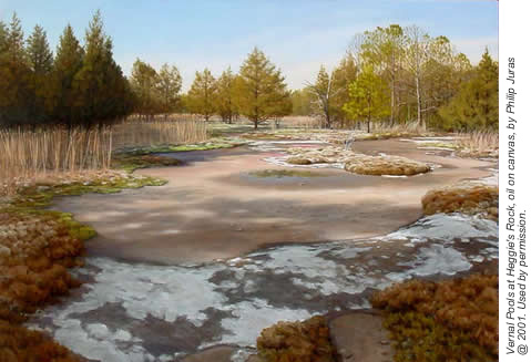 Vernal Pools at Heggie's Rock, oil on canvas by Philip Juras copyright 2001