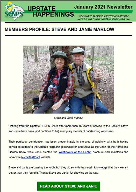 Jan 2021 newsletter of the Upstate Chapter of the South Carolina Native Plant Society
