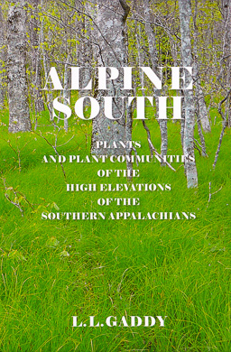bookcover Alpine South by L.L. Gaddy