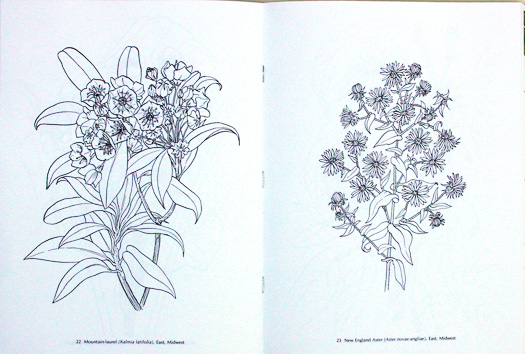 page from American Wild Flowers Coloring Book
