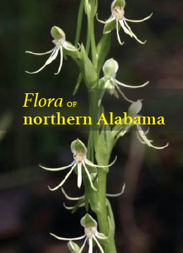 mock bookcover Flora of northern Alabama by Dan Spaulding et al.