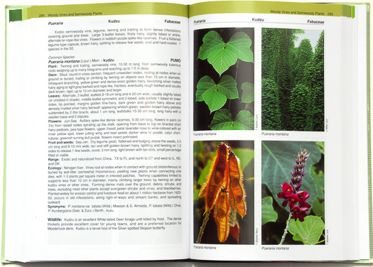 page from Forest Plants of the Southeast and Their Wildlife Uses by James H. Miller and Karl V. Miller