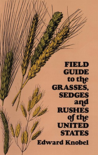 bookcover Field Guide to the Grasses, Sedges and Rushes of the United States by Edward Knobel