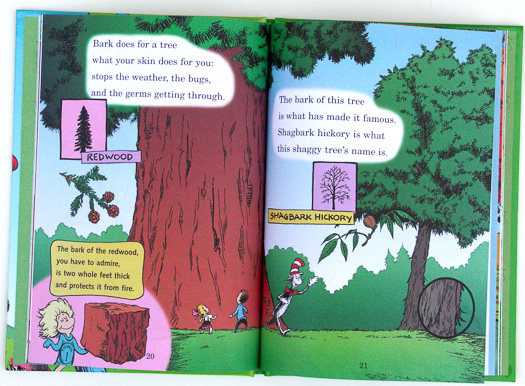 page from I Can Name 50 Trees Today! by Bonnie Worth