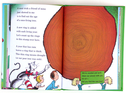 page from I Can Name 50 Trees Today! by Bonnie Worth