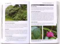 page from Invasive Plants: Guide to the Identification and the Impacts and Control of Common North American Species by Sylvan Ramsey Kaufman with Wallace Kaufman