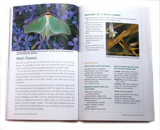 page from The Wildlife Gardener's Guide by Janet Marinelli