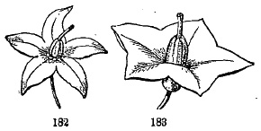fig182-183