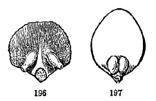 fig196-197