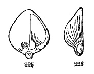 fig225-226