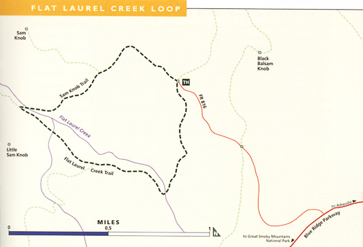 map of Flat Laurel Creek Loop trail