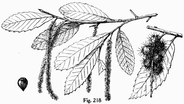 Fig. 218